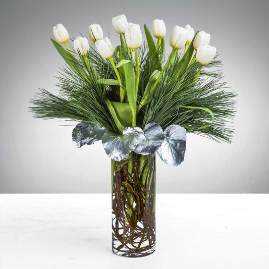 Tranquil Tulip