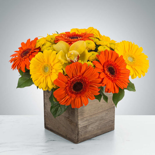 Storybook