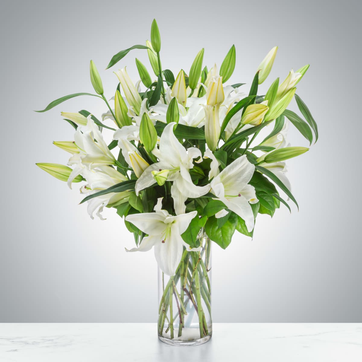Peaceful Evening