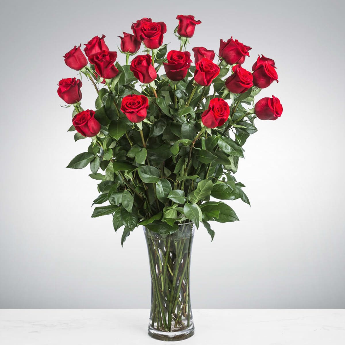 Two Dozen Long Stemmed Red Roses